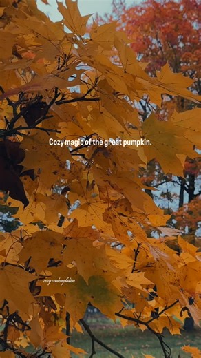 As a child, I always waited eagerly to watch ‘It’s the Great Pumpkin,...