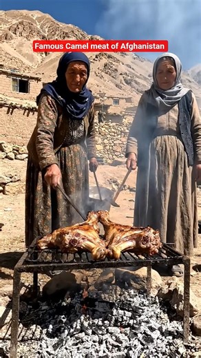 Famous Camel meat cooking in Afghanistan #camel #camelmeat #villagelife #afghanistan #iran
