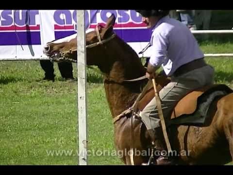 El juego de la Sortija
