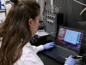Characterization of Glycoproteins with the Immunoglobulin Fold by X-Ray Crystallography and Biophysical Techniques