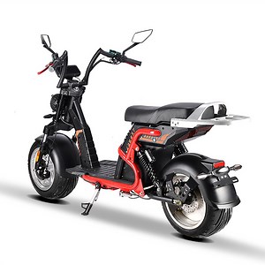 [Hot Item] Electric Scooters 12 Inch Adult EEC Coc Scooter Motorcycle Citycoco Chopper