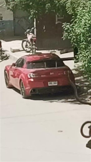 just looking like a car