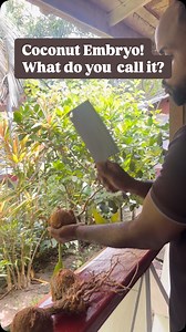 248 reactions · 27 shares |  Guyanese Snack Spotlight: Coconut...