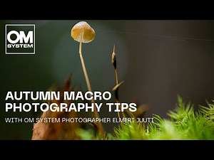 Macro Photography Tips | Mushrooms, Insects & Dragonflies with the OM-1 Mark II + 90mm