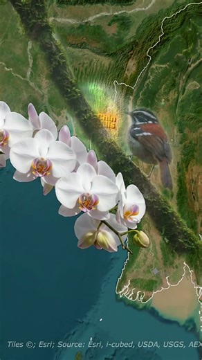 Wait… is this Myanmar?