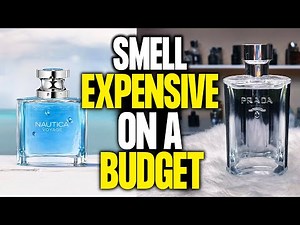 The TOP 8 Affordable Colognes That SMELL LIKE LUXURY