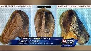 Horned dinosaur tooth found in Mississippi