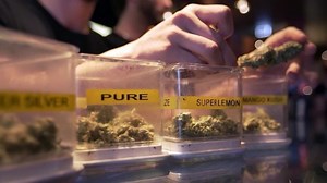 Amsterdam's relationship with weed is ... complicated