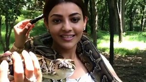 This video of Kajal Aggarwal playing with python has taken internet by storm