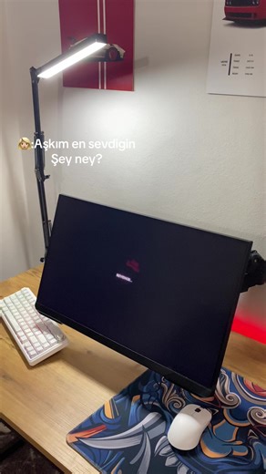 Red Dead Redemption 2🔥🔥#VİSİON #fyp #setup #viral #rdr2