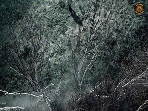 1M views · 9.7K reactions | TOP MOVIE NETFLIX TODAY See full movie: https://plantationexhaust.com/wnvv91tr?key=ef87f6eff1111a09509da600f6540d03 | Type One Dance Company | Facebook