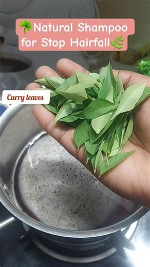 Dr Subhash Goyal's SECRET Natural Shampoo Recipe to STOP Hairfall! 🌿 #shorts #haircare