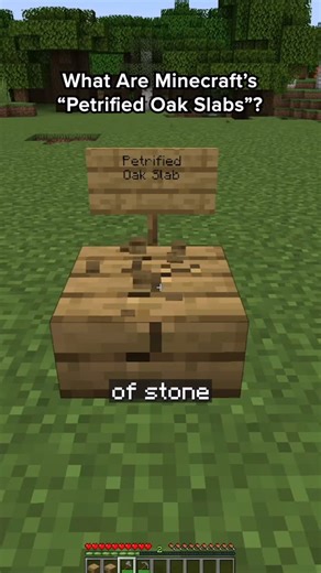 Retro Gaming Now on Instagram: "What are Minecraft’s “Petrified Oak Slabs?” #minecraft #gaming #minecraftlore #gamingclips"