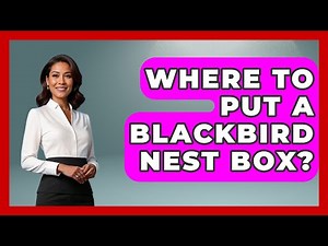Where To Put A Blackbird Nest Box? - Bird Watching Diaries