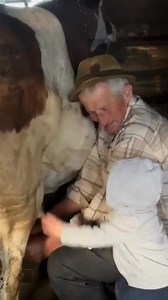 Tataie | Pablo Corona