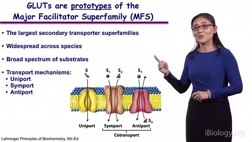 Membrane Transport Proteins • iBiology