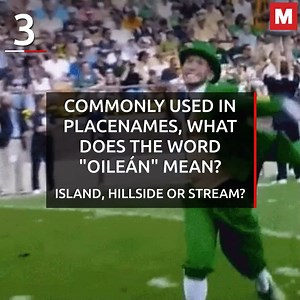 8.4K views · 53 reactions | Test your Irish - Guess the English meaning of these 15 tricky words as Gaeilge | Irish Daily Mirror | Facebook