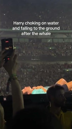 Harry Styles crolla sul palco durante il concerto: il caldo estremo e la preoccupazione dei fan