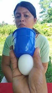 Egg magic tricks | Sunnybird Bird
