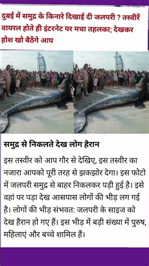 “An actual mermaid suddenly spotted on Dubai’s beach! People were left stunned!” 🌊🧜‍♀️#Dubai
