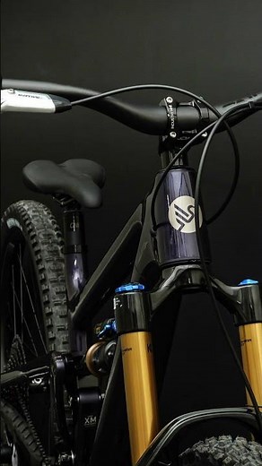 Fanatik Custom Bike: Ibis Ripmo V3