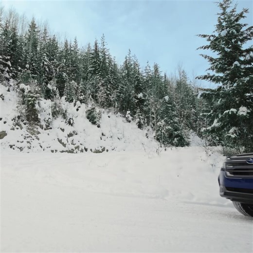 Legendary winters await. Hurry into your local Subaru dealer today and get great value that—you guessed it—comes standard. | Subaru Canada