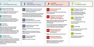Stop the Sustainability Silo: 3 Smart Ways to Cut Duplication and Drive Efficiency