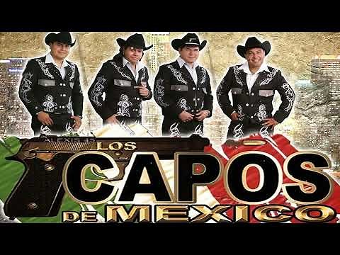 Los Capos De México Exitos - Corridos Chingones Con Banda Mix 2022