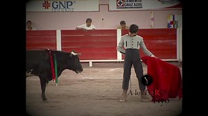 3.4K views · 60 reactions | LUIS DAVID ADAME BECERRADA EN AGUASCALIENTES PLAZA DE TORO SAN MARCOS | A Los TOROS con YIYO | Facebook