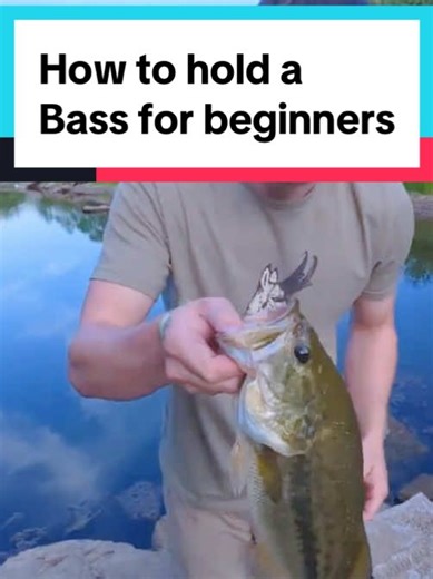 How to hold a Bass for beginners | bass instrument