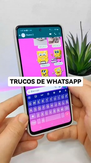 Tips y trucos de WhatsApp que no conocías 📲#tipswhatsapp #tipsandtricks #tipsandroid #stikerswhatsapp #trucoswhatsapp #whatsapp #android | Reaxionmedia