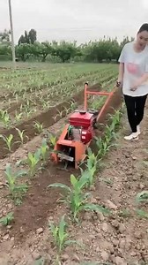 512K views · 1.6K reactions | Best farming tools and Machinery for Farmers | Kelantan MuayThai Channel - KMC | Facebook