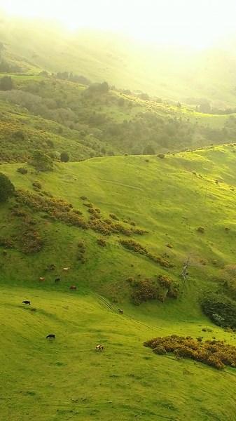 St Helena's lush landscapes #StHelenaIsland #breathoffreshair #travel #offthebeatentrack #southatlanticocean #StHelena