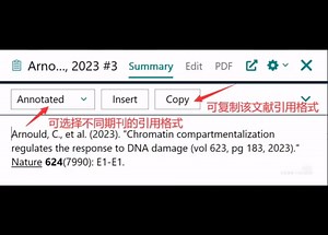 Endnote21 界面解析➕导入文献教程Endnote21