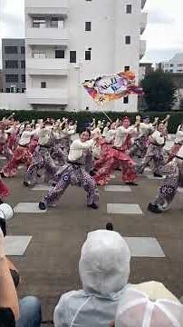 WORLD DANCE よさこい ボリウッド × よさこい『 ボリよさ 』｜第10回横浜よさこい2日目 2025.10.19(日)｜象の鼻パーク波止場会場 ｜Yosakoi Festival