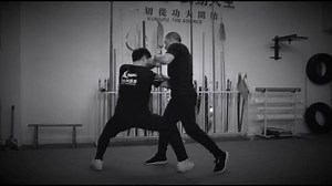 蔡李佛技擊法 Choy Li Fut Fighting Techniques | 黃宇帆 Wongyufan