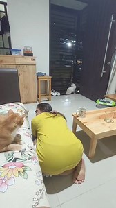 214K views · 2.4K reactions | Kuda kuda an | viayunita | Facebook