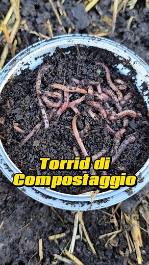 28K views · 2.7K reactions | Dentro questo tubo c’è il segreto di un...