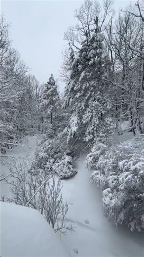 Live From USA 🇺🇸 New Jersey Snow Paradise on Earth | Beautiful Snowfall Moments That Feel Unreal