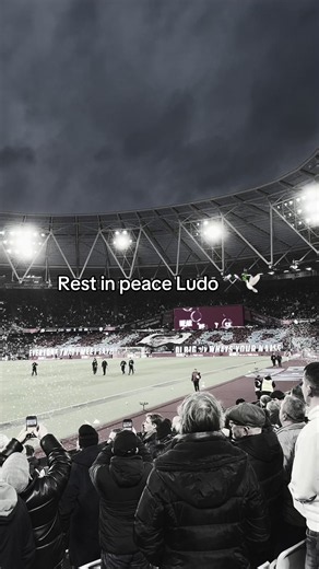 Oi big boy what’s your name… #westham #football #irons #rip #ludo