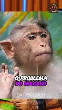 The Mistake of Having a Monkey as a Pet 🐒 | Richard Rasmussen Explains #curiosities #animals #nature