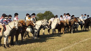 Pony Mad Mum’s blog: your Pony Club needs you - Horse & Hound