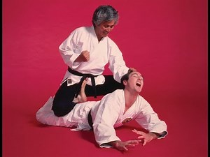 Mastering Hapkido: The Art of Self-Defense