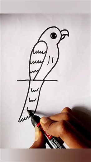 How to draw a Simple Parrot 🦜 ||