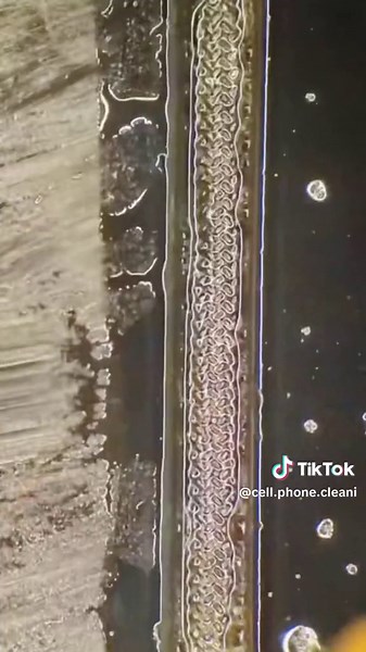 #iphone #cleaning #microscope #phonefixcraft #usa #fyp #foryou