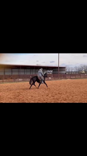 Check out these young “up-and-comers” by FORBEZ! 🤩 We love the minds, size, and ability of these colts. They have about 10 rides on them and are coming along just how we like them. The future looks bright! 😎 #FORBEZ #fcgequine #barrelracing #barrelhorsestallion #rubybuckle #royalcrown #younggunsleague #thediamondclassic #minnesotafuturity #futurefortunes #dashtafame | Forbez