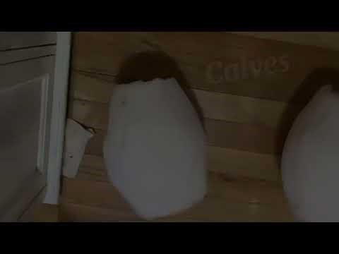 Spring Bonnie costume Part 1