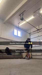 998 reactions · 15 shares | MY FRIENDS AND I MADE SHIRTS GO COP❤️ @cabinboysco | Orellryan | Facebook