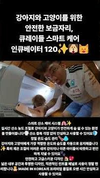 A Safe Haven for Dogs and Cats, Kradle Smart Care Incubator 120✨ Dog Oxygen Chamber. A premium sm...