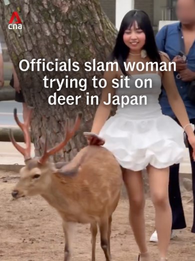 A video showing a woman attempting to sit on a deer in Japan's Nara Park has gone viral, drawing criticism from both netizens and local authorities. The Nara Prefectural Government said it was unclear whether the woman intended to harm the deer, and described her behaviour as